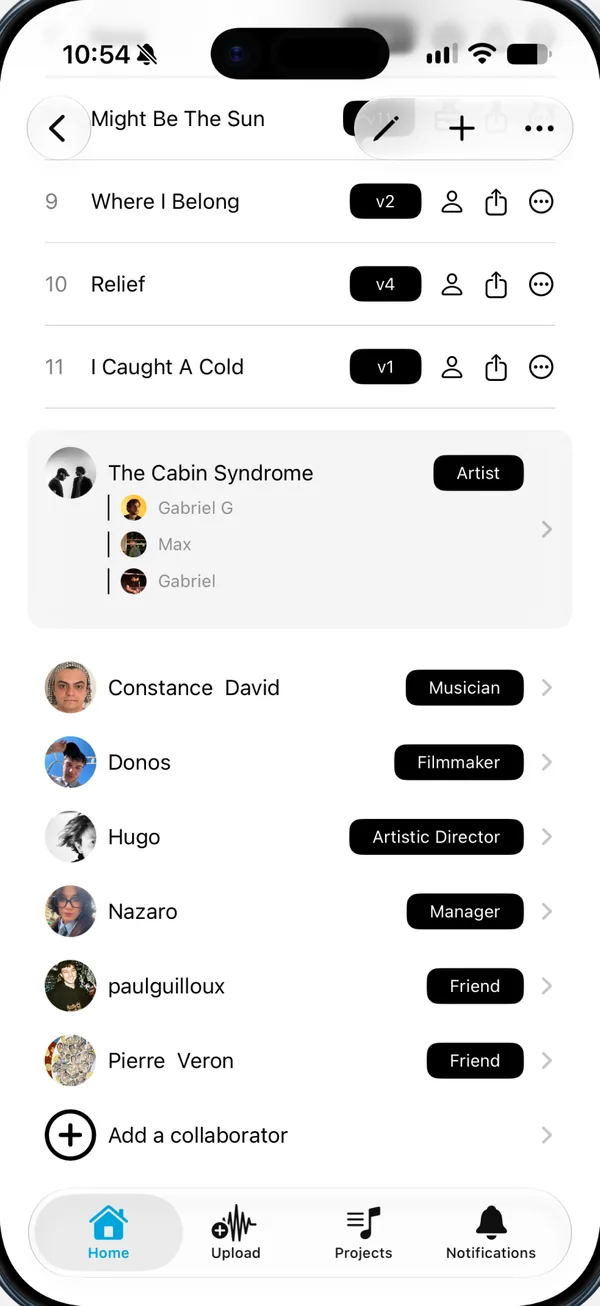 Collaborateurs de The Cabin Syndrome avec leurs rôles : Musician, Filmmaker, Artistic Director, Manager, Friend